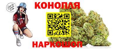 прущие грибы Краснокаменск