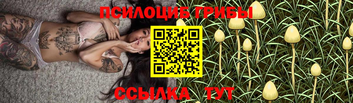 Галлюциногенные грибы MAGIC MUSHROOMS  Вход с VPN  Конаково 